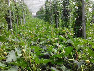 ����һ̖�����J�N�ӌ�(sh��)���D