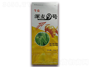 ����9̖(h��o)-С���N��-�A�S�N�I(y��)