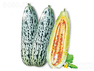 �����-��ϷN��-�߶˷N�I(y��)