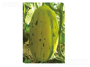 ���S���-��ϷN��-�߶˷N�I(y��)