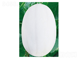 �|����1̖(h��o)-��ϷN��-�߶˷N�I(y��)