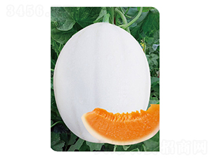 ��Ʒ�|����1̖(h��o)-��ϷN��-�߶˷N�I(y��)