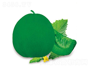 �G��-��ϷN��-�߶˷N�I(y��)