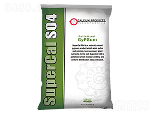 �����{(di��o)�턩-�����-��������