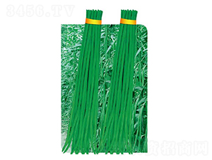 ����(j��)�L(zh��ng)��-���ǷN��-�߶˷N�I(y��)