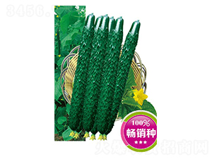 �G�S����106-�S�ϷN��-�߶˷N�I(y��)