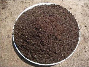 �o��������|(zh��)-�ݸ����B(t��i)