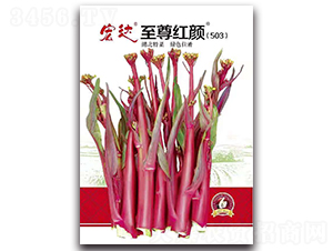 ����t�503-�ײ˷N��-���_(d��)