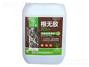 ���������������أ�-���S�t