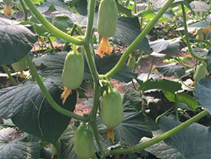 ��ͯ��ŮĴָ�S��-�S�ϷN��-�A�~�N�I(y��)