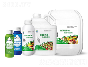 ΢�弚(x��)���I(y��ng)�B(y��ng)Һ-������