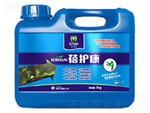 ��������������(zhu��n)��-���o(h��)��-�����-��������