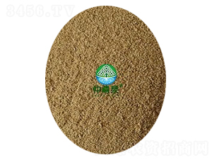 �ݲ�ѿ�ߗU����200�|-g����ȫ�ܣ�-����Ȫ