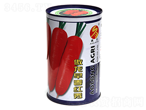 ����?ji��n)紺�t��-�t�}���N��-����