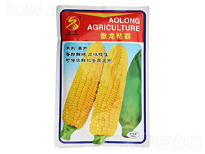 ����ճ��-���׷N��-����