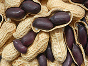 �����ڻ���-�����N��-��T�S�r(n��ng)�I(y��)