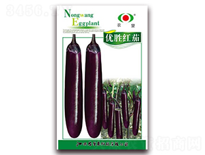 ��(y��u)�ټt��-���ӷN��-�r(n��ng)��