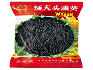 WY668-���տ��N��-�����r(n��ng)�I(y��)