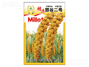 ����һ̖(h��o)-ˮ���N��-�����r(n��ng)�I(y��)