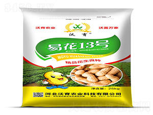 �׻�13̖(h��o)-�����N��-�����r(n��ng)�I(y��)