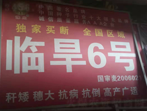 �R��6̖(h��o)-С���N��-��(gu��)���r(n��ng)�I(y��)