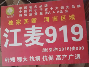 ����919-С���N��-��(gu��)���r(n��ng)�I(y��)