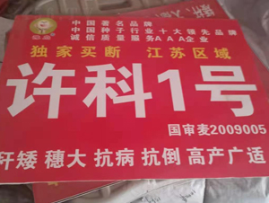 �S��1̖(h��o)-С���N��-��(gu��)���r(n��ng)�I(y��)