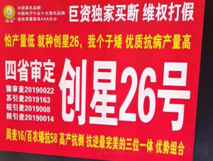 ��(chu��ng)��26̖(h��o)-С���N��-��(gu��)���r(n��ng)�I(y��)