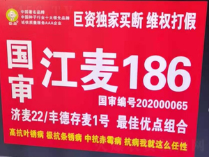 ��(gu��)������186-С���N��-��(gu��)���r(n��ng)�I(y��)