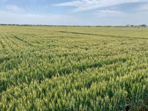 ����7698-С���N��-���\(y��n)�N�I(y��)