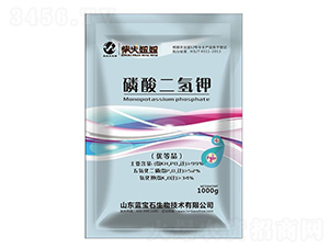 ��������-�����-�{��ʯ