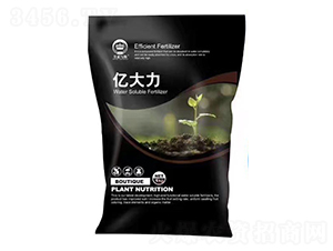 �VԴ�S�����-�|����-�{(l��n)��ʯ