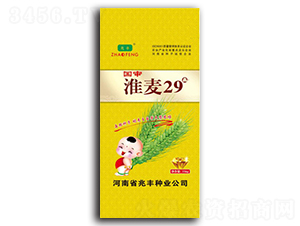 ����29-С���N��-���S