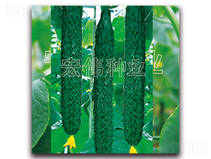 ���r(n��ng)��̖-�S�ϷN��-�ꂥ�N�I(y��)