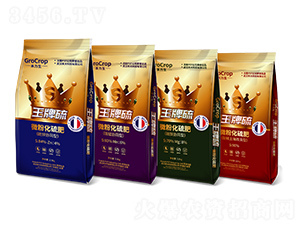 ΢�ۻ����-������-����Ƽ�