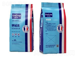 ��Ԫ�A��⛷�-⛉A��-����Ƽ�