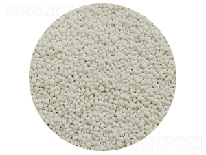 ��������-��׿����