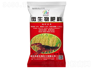 ���r����΢�������-��׿����