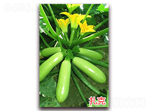 ����-�����J�N��-�f(w��n)���r(n��ng)�I(y��)