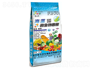 ����΢�������-��׿����