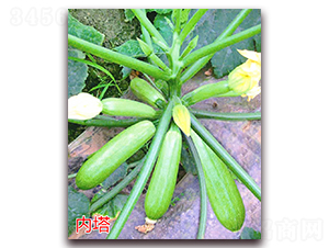 ��(n��i)��-�����J�N��-�f(w��n)���r(n��ng)�I(y��)