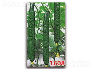 1608-�S�ϷN��-�f���r(n��ng)�I(y��)