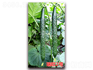 ��W2̖-�S�ϷN��-�f���r(n��ng)�I(y��)