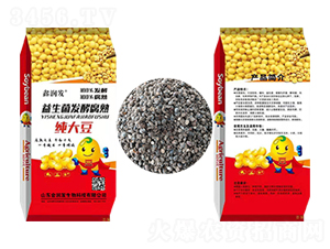 �������l(f��)�͸����-�Ν�(r��n)�l(f��)-ʢ�����B(t��i)