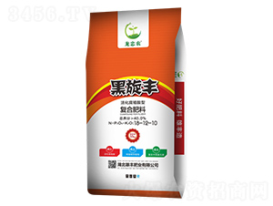 ���ֳ���͏�(f��)�Ϸ���28-12-10-�����S-���S�ʘI(y��)