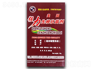 �����������焩-����ţ