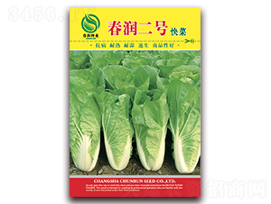 ����(r��n)��̖(h��o)-�ײ˷N��-����(r��n)�N�I(y��)