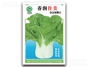 ����(r��n)����-�ײ˷N��-����(r��n)�N�I(y��)