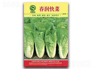 ����(r��n)���-�ײ˷N��-����(r��n)�N�I(y��)