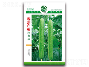 �����׸�F1-�S�ϷN��-�����N�I(y��)